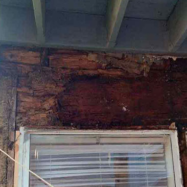 wood decay replacement